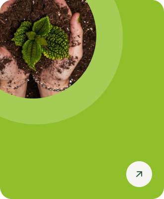 Environment and Social Impact Assesment