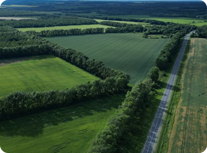 Organizations committing to net-zero targets