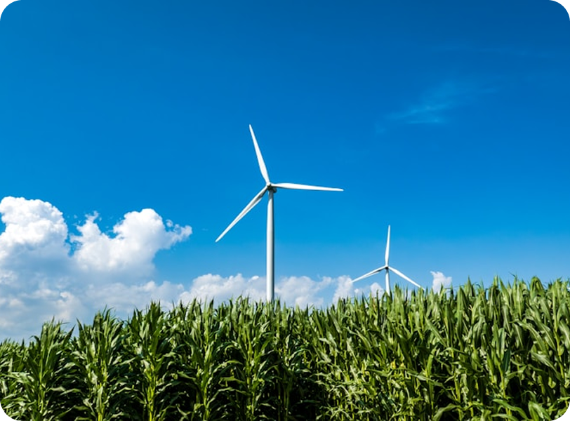 Companies integrating sustainability into long-term strategy